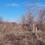 Парцел в с. Брестник, Област Пловдив - 6600 кв.м за 20 €/кв.м - Снимка #1