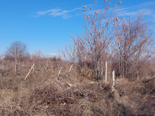 Парцел в с. Брестник, Област Пловдив - 6600 кв.м за 20 €/кв.м - Снимка #1