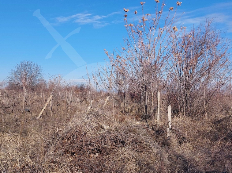 Парцел в с. Брестник, Област Пловдив - 6600 кв.м за 20 €/кв.м - Снимка #1