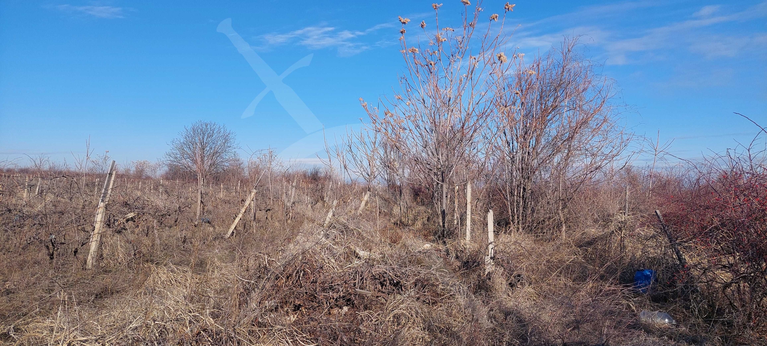 Парцел в с. Брестник, Област Пловдив - 6600 кв.м за 20 €/кв.м - Снимка #1