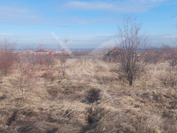 Парцел в с. Белащица, Област Пловдив - 1302 кв.м за 46 €/кв.м - Снимка #1