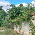 Къща в Игнатиево - 205 кв.м за 913 €/кв.м - Снимка #1