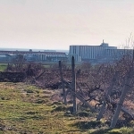 Земеделски имот в Поморие -  кв.м за 5 €/дка - Снимка #1