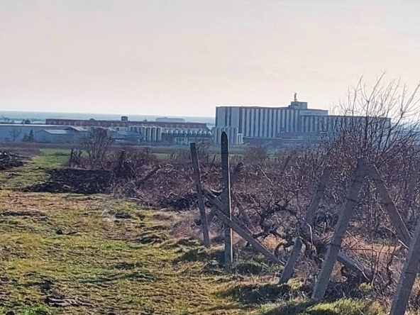 Земеделски имот в Поморие -  кв.м за 5 €/дка - Снимка #1