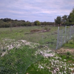 Парцел в с. Нова Шипка, Област Варна - 2896 кв.м за 5 €/кв.м - Снимка #1