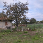 Парцел в с. Бързица, Област Варна - 2900 кв.м за 7 €/кв.м - Снимка #1