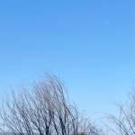 Двустаен апартамент в Варна, ЖП Гара - 85 кв.м за 1412 €/кв.м - Снимка #1