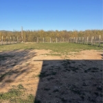 Дава се под наем Парцел в София, Световрачене - 500 кв.м за 612 € - Снимка #1