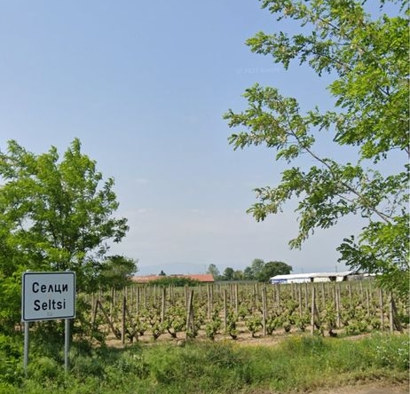 Земеделски имот в Пловдив, Южен -  кв.м за 5000 €/дка - Снимка #1