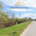 Парцел в с. Професор Иширково, Област Силистра - 3250 кв.м за 24 €/кв.м - Снимка #1