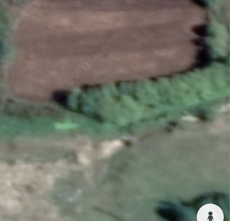 Парцел в с. Светослав, Област Силистра - 4400 кв.м за 3 €/кв.м - Снимка #1