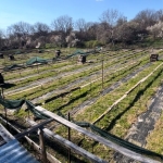 Парцел в Ловеч, Широк център - 3000 кв.м за 11 €/кв.м - Снимка #1