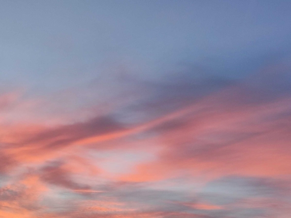 Земеделски имот в с. Ботево, Област Ямбол -  кв.м за 347 €/дка - Снимка #1