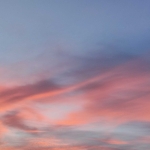 Земеделски имот в Ямбол, Център -  кв.м за 510 €/дка - Снимка #1