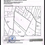Земеделски имот в с. Блажиево, Област Кюстендил -  кв.м за 1530 €/дка - Снимка #1