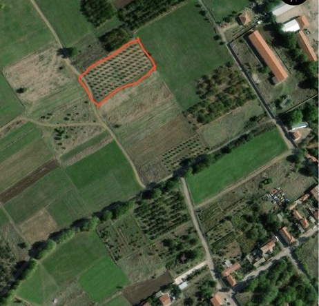 Земеделски имот в с. Червен, Област Пловдив -  кв.м за 5100 €/дка - Снимка #1