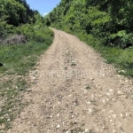 Парцел в с. Арбанаси, Област Велико Търново - 601 кв.м за 21 €/кв.м - Снимка #1