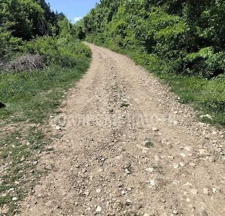 Парцел в с. Арбанаси, Област Велико Търново - 601 кв.м за 41 €/кв.м - Снимка #1