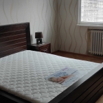 Дава се под наем Двустаен апартамент в София, Гео Милев - 60 кв.м за 373.83 € - Снимка #1