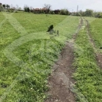 Къща в с. Малина, Област Бургас - 100 кв.м за 108 €/кв.м - Снимка #1