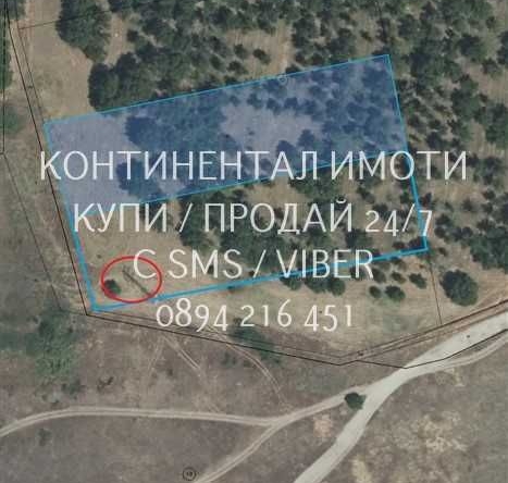 Земеделски имот в Стамболийски -  кв.м за 2550 €/дка - Снимка #1