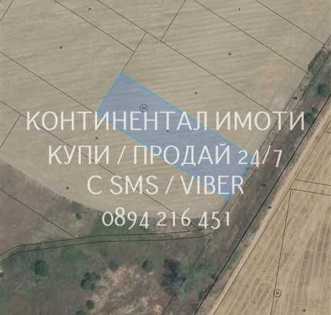 Земеделски имот в с. Куртово Конаре, Област Пловдив -  кв.м за 2423 €/дка - Снимка #1