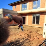 Къща в Пловдив, Беломорски - 213 кв.м за 1200 €/кв.м - Снимка #1