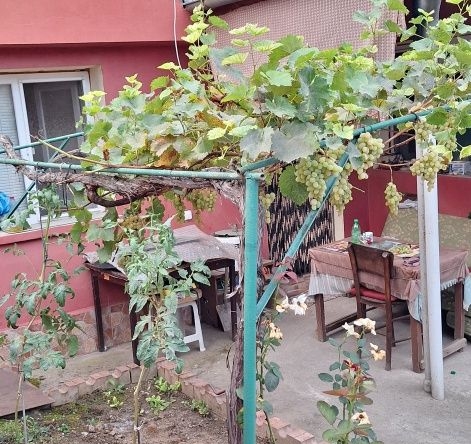 Къща в Русе, Средна кула - 100 кв.м за 816 €/кв.м - Снимка #1