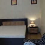 Дава се под наем Едностаен апартамент в Пловдив, Коматевски възел - 40 кв.м за 198.9 € - Снимка #1