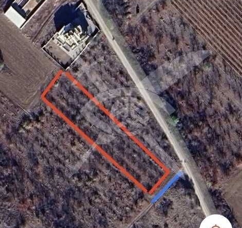 Парцел в с. Брестник, Област Пловдив - 1484 кв.м за 85 €/кв.м - Снимка #1