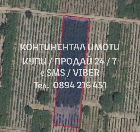Земеделски имот в Перущица -  кв.м за 1870 €/дка - Снимка #1