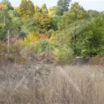 Парцел в с. Крумово, Област Пловдив - 2500 кв.м за 10 €/кв.м - Снимка #1