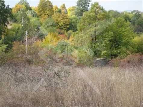 Парцел в с. Крумово, Област Пловдив - 2500 кв.м за 10 €/кв.м - Снимка #1