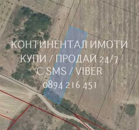 Земеделски имот в с. Устина, Област Пловдив -  кв.м за 2499 €/дка - Снимка #1