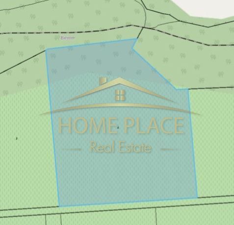 Парцел в с. Арбанаси, Област Велико Търново - 3801 кв.м за 6 €/кв.м - Снимка #1