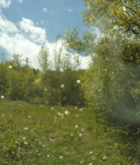 Земеделски имот в с. Владая, Област София-град -  кв.м за 15 €/дка - Снимка #1