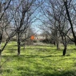 Парцел в с. Паничери, Област Пловдив - 780 кв.м за 10 €/кв.м - Снимка #1