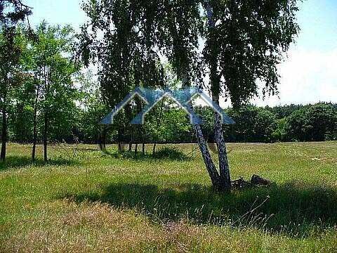 Парцел в с. Рудник, Област Варна - 3000 кв.м за 6 €/кв.м - Снимка #1