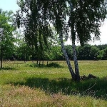 Парцел в с. Сапарево, Област Кюстендил - 3000 кв.м за 6 €/кв.м - Снимка #1