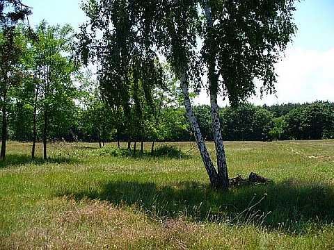 Парцел в с. Сапарево, Област Кюстендил - 3000 кв.м за 6 €/кв.м - Снимка #1