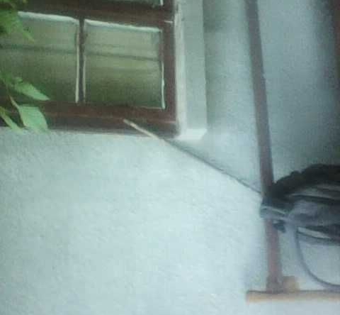 Къща в Габрово, Младост - 15 кв.м за 748 €/кв.м - Снимка #1