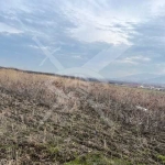 Парцел в с. Марково, Област Пловдив - 3610 кв.м за 77 €/кв.м - Снимка #1