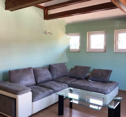 Дава се под наем Къща в София, Симеоново - 270 кв.м за 2450 € - Снимка #1