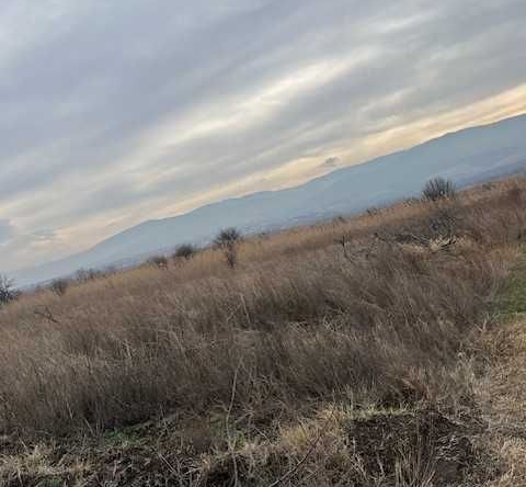 Парцел в с. Марково, Област Пловдив - 4439 кв.м за 29 €/кв.м - Снимка #1