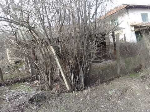 Дава се под наем Парцел в Провадия - 930 кв.м за 15000 € - Снимка #1