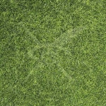 Парцел в Карнобат - 5000 кв.м за 10 €/кв.м - Снимка #1