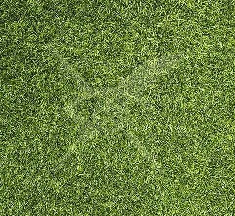 Парцел в Карнобат - 5000 кв.м за 10 €/кв.м - Снимка #1