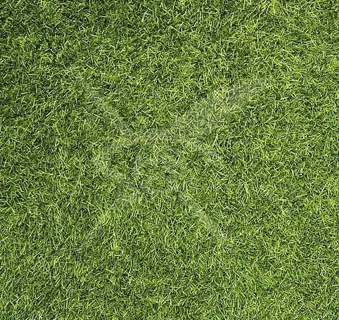 Парцел в Карнобат - 5000 кв.м за 10 €/кв.м - Снимка #1