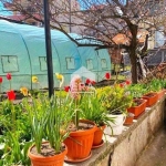 Къща в Хасково, Каменни - 240 кв.м за 680 €/кв.м - Снимка #1