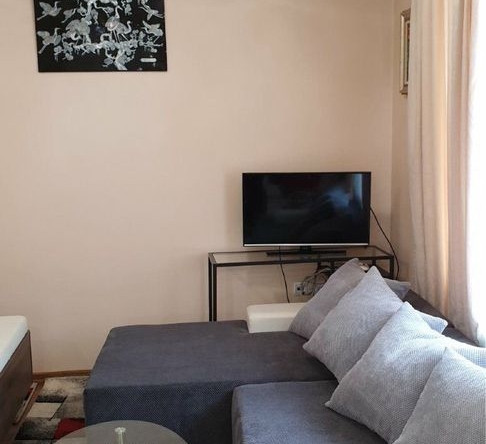 Дава се под наем Едностаен апартамент в София, Борово - 41 кв.м за 331.5 € - Снимка #1